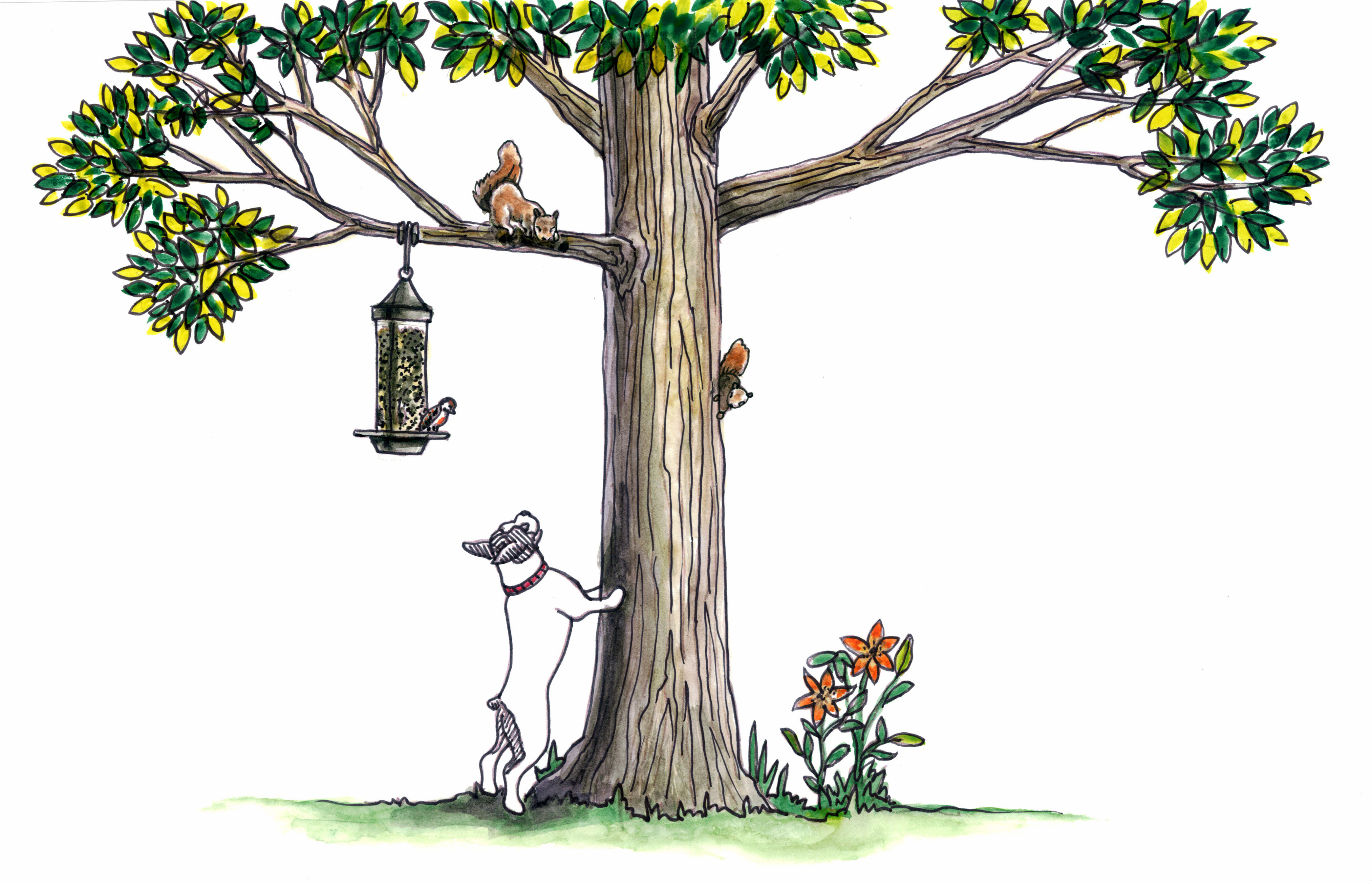 children's book illustration