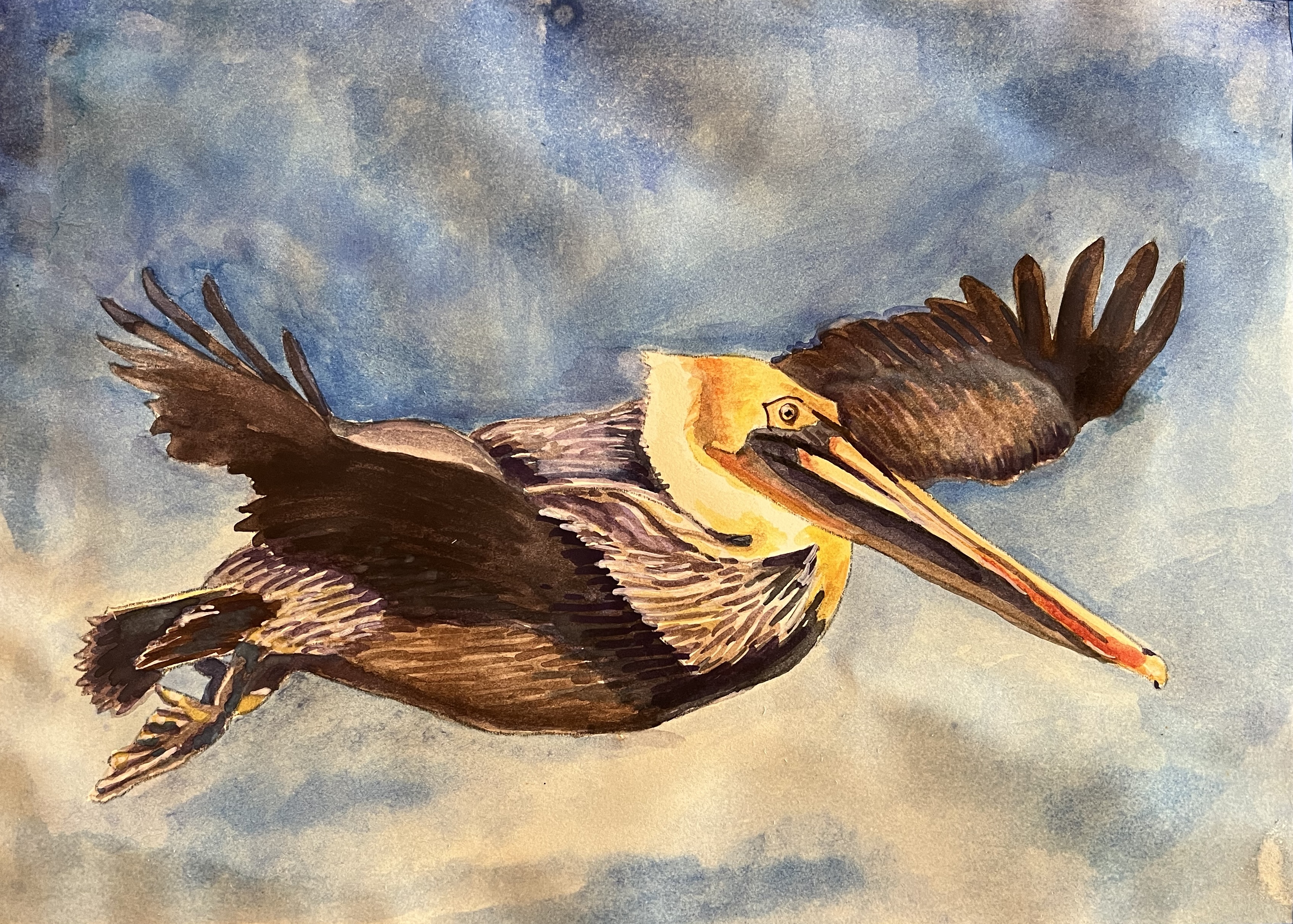 pelican painting
